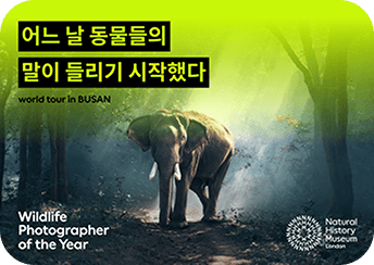 나의 소울메이트 야생동물 찾기